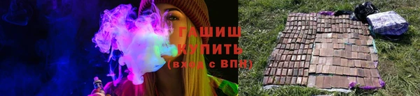сатива Белокуриха