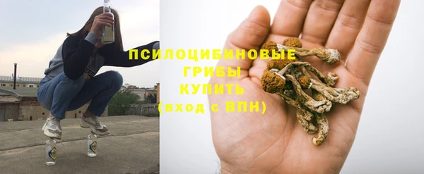 Альфа ПВП Беломорск