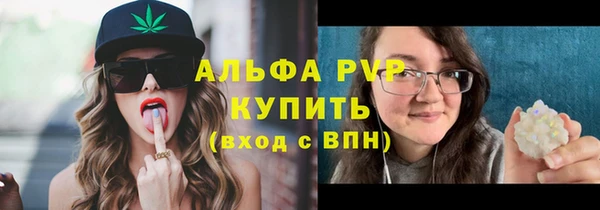 сатива Белокуриха
