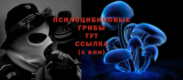 Альфа ПВП Беломорск