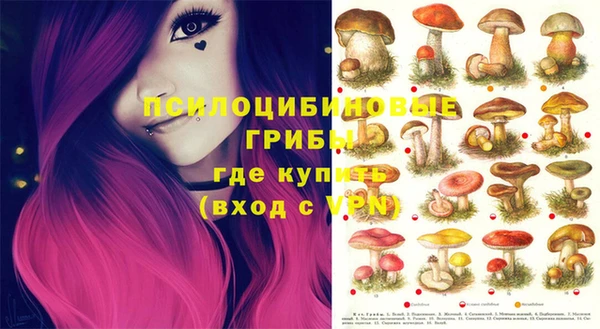 амф Белоозёрский