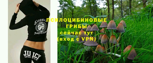 амф Белоозёрский