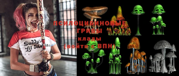 сатива Белокуриха