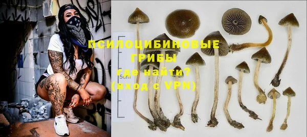 сатива Белокуриха