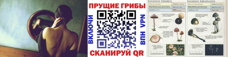 где купить наркотик  Югорск  Псилоцибиновые грибы мухоморы 